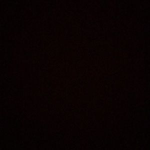 Meet your Posher, Jasper